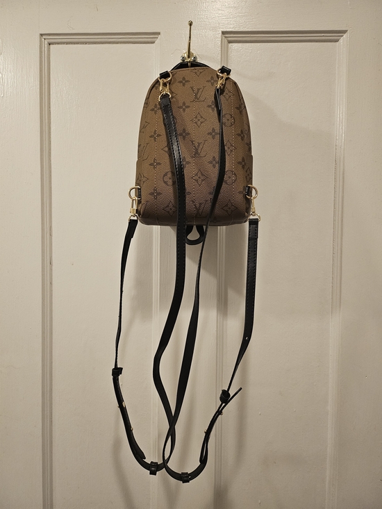 Lv Designer Palm Springs Mini Backpack main image 10